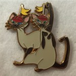 Pin 101